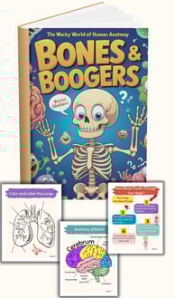 Human Anatomy Book