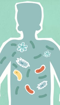A healthy gut and its connection to physical fitness, represented by a person exercising 