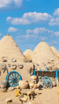 Harran Turu 