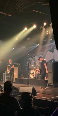 Millencolin im Roxy in Ulm