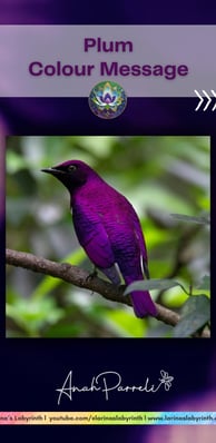 Colour message: Power of Plum Purple. Colour Healing, Color Healing