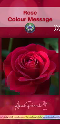 Colour Messasges: Power of the colour Rose. Colour Healing. Color healing.