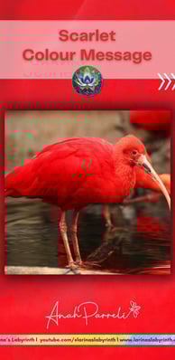 Colour message: Power of Scarlet Red. Colour Healing, Color Healing