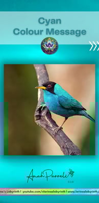 Colour Messenger: Power Of Cyan Blue. Colour Healing; color healing