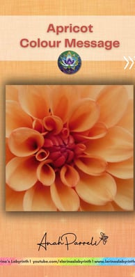 Colour message: Power of apricot light orange. Colour Healing, Color Healing