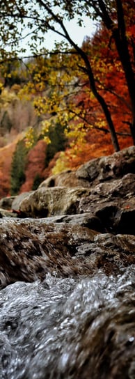 Feldsee herbstlich