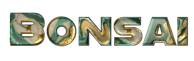 decorative text word bonsai