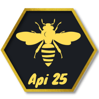 Api25 logo