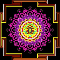 Namasivayam Trust logo