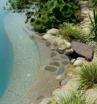 the edges of a naturally filtered swimming pool