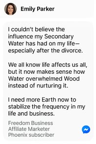 DM screenshot of Wood + Water Archetype – Visionary entrepreneur celebrates discovering her strategic dual archetype