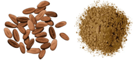 ingrédient d'origine végétale - cacao
