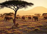 voyage en Afrique avec enfant en famille