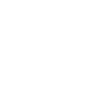 Icona SEO
