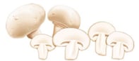 champignon comestible - champignon de Paris