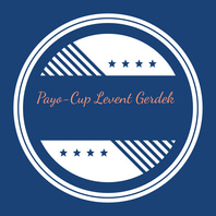 PAYO-CUP KARTON BARDAK PLASTİK AMBALAJ ÜRÜNLERİ logo