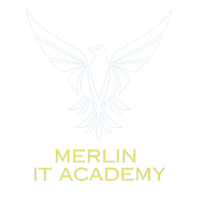 Merlin IT Academy logo