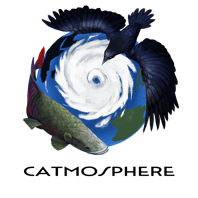 Catmosphere Modélisations logo