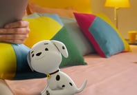 10 Club, Aditya Satyajit, One For Love, Ad film, Animation, a dog sitting on a bed with a laptop