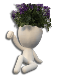 Pot de fleurs décoratifs