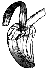 Ilustração de uma casca de banana.