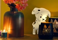 10 Club, Aditya Satyajit, One For Love, Animation,  dog sitting on a table with candles and candles