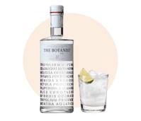shop gin online delivery