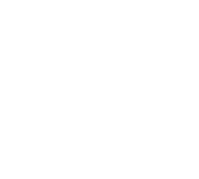 a logo for birth of a mama