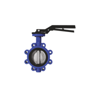 Lug type butterfly valves