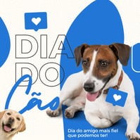 Post de instagram animais