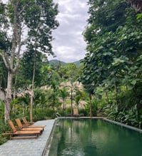 Picture of a pool in Pu Luong, jungle like, surrounded bylush trees 