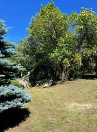 vue du jardin du chalet La Grange Russell