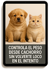 dieta cahorro