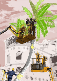Workers preparing the palm trees for high season