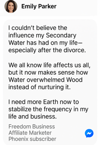 DM screenshot of Wood + Water Archetype – Visionary entrepreneur celebrates discovering her strategic dual archetype