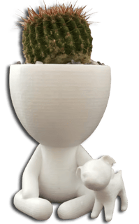 Pots de fleur décoratifs