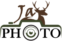 Passionné par la nature et les animaux logo