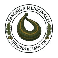 Hirudothérapie logo