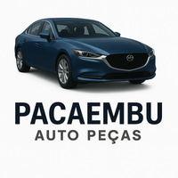 Auto Peças Pacaembu logo
