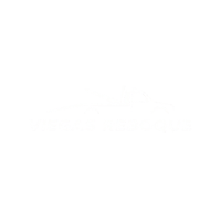 Viegas Reboque logo