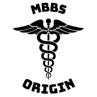 MBBS ORIGIN logo