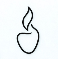Shape Of Memory logo