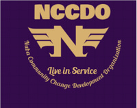 Non profit logo