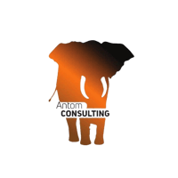 ANTOM CONSULTING logo