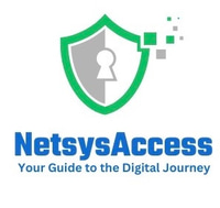 NetsysAccess IT Consulting logo