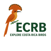 ECRBirds logo
