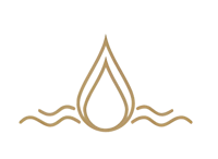 PureVision logo