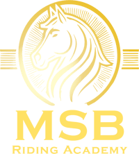 MSB Equine Academy logo