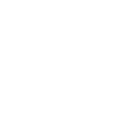 velzario logo