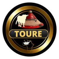 Touré Biyaa International logo